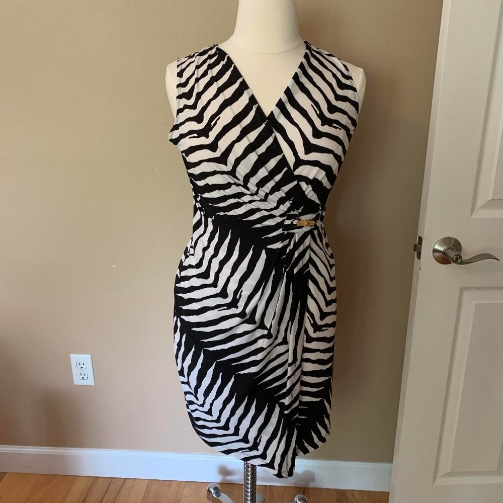 Black and White Zebra striped dress